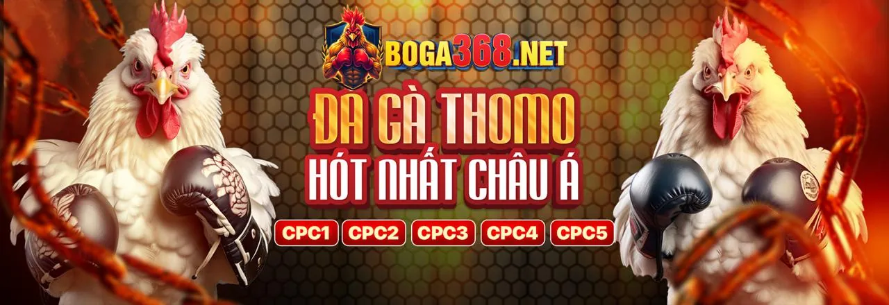 Các loại kèo phụ khác