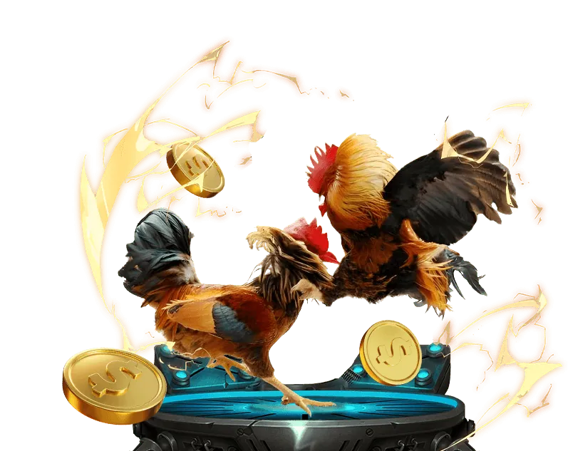 Cá cược thể thao viva88 net